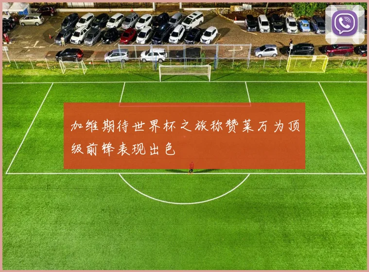 加维期待世界杯之旅称赞莱万为顶级前锋表现出色